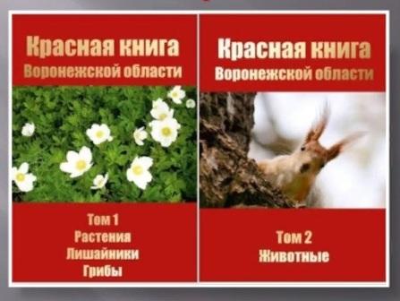 Исчезающая красота